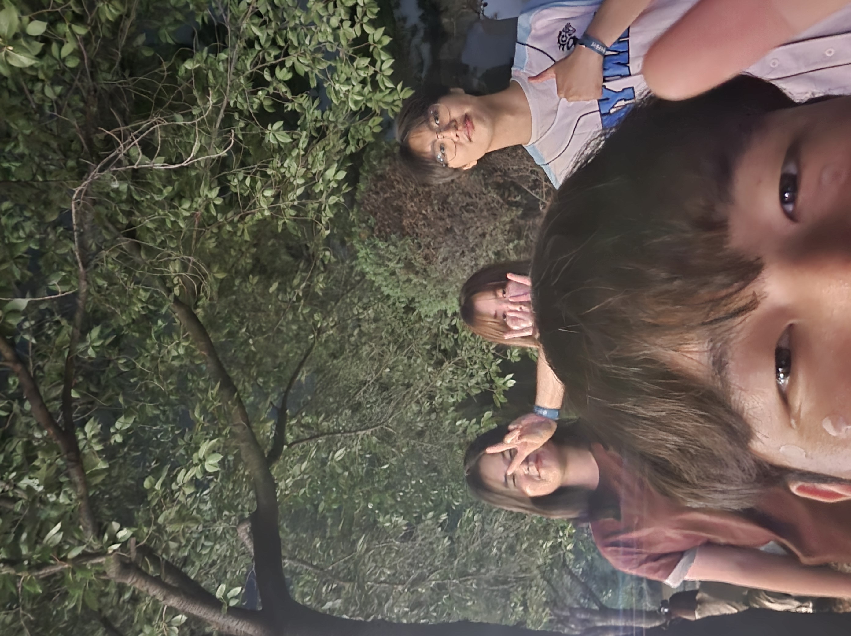 8조 사진 7